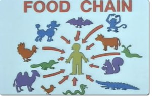 It's kind of like this.